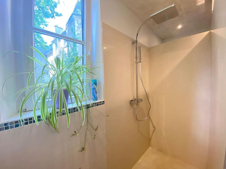 Charmant Appartement - Centre Cite Plantagenet!!! Льо Ман Екстериор снимка